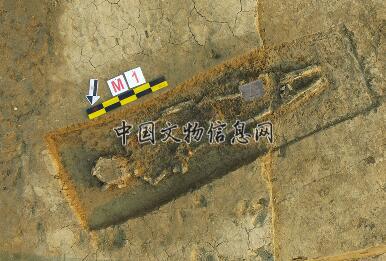 宁波首次发掘海岛史前文化遗址——大榭遗址Ⅰ期考古发掘的主要收获