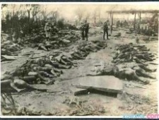 日本广岛原子弹事件的争议