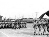 1949年的历史事件有哪些