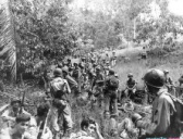 美国陆军的战斗记录