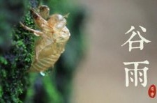 关于谷雨节气的民俗传说