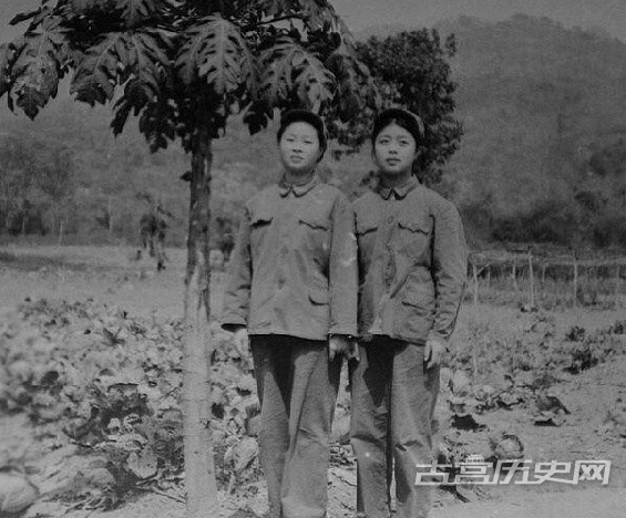 这些中国女兵护士参加了越战：挺幸福