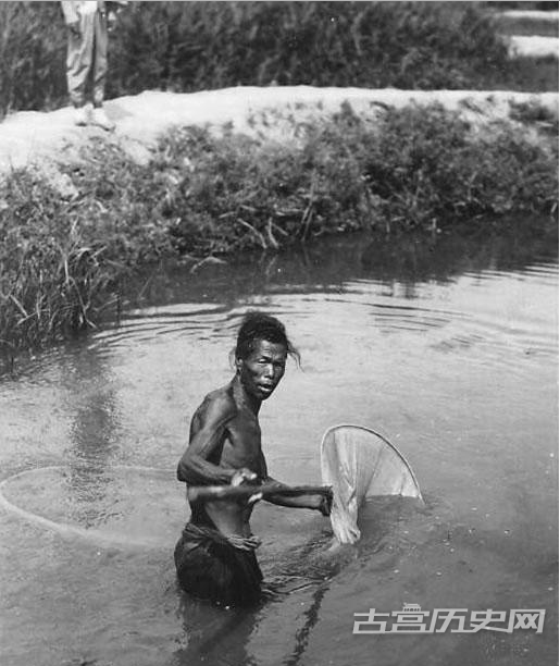 1910年代，捞鱼。