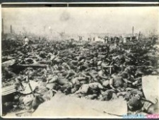 广岛原子弹爆炸的描述