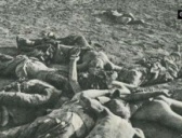 日本的三光政策是怎么来的