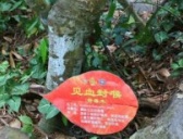 盘点中国古代的七大毒药