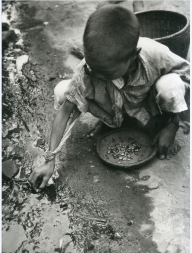 1946年湖南饥荒影像