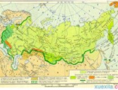 俄罗斯的气候及地理位置