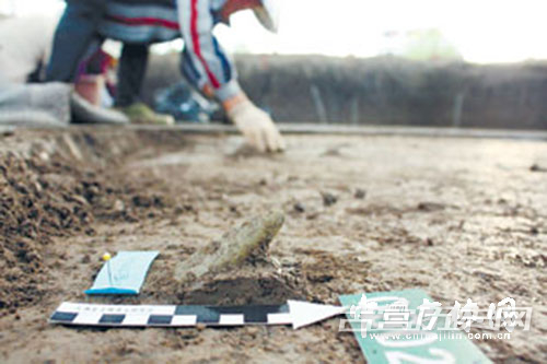 吉林抚松县发现旧石器时代遗址