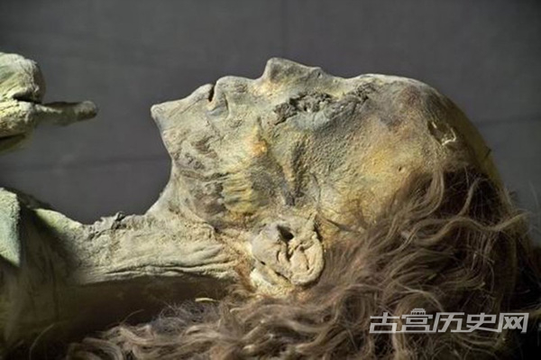 埃及泰雅王后的头发 泰雅王后的尸体被称为“年老的夫人”，尸体三千多年之后仍保存着完好的赤褐色头发，披落在肩膀上。她的头发与坦蒙卡门法老墓室中的一绺头发完全匹配，这绺头发被放置在一个小棺材中，上面铭刻着“祖母泰雅王后”，2010年，考古学家对头发和尸体进行DNA鉴定，证实了这具木乃伊就是泰雅王后。