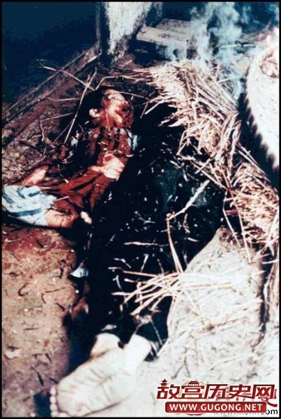 其中20%是越南平民;越南官方报告则称有568名平民被杀害