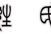 姓、氏、名、字、号由来与区别