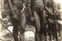 1926年新几内亚裸民解密照