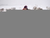 苏格兰族有什么历史