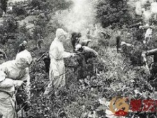 抗美援朝中的反细菌战