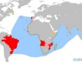 葡萄牙帝国是怎样发展的