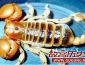 解密中国古代最恐怖的神秘蛊术