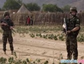 爱尔兰共和军的发展历程