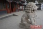 揭秘大门口摆石狮子的习惯由来