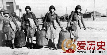 二战时美国的娘子军