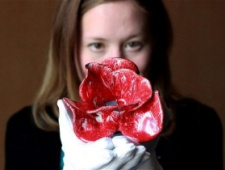 伦敦塔种80万陶瓷罂粟花纪念一战百年