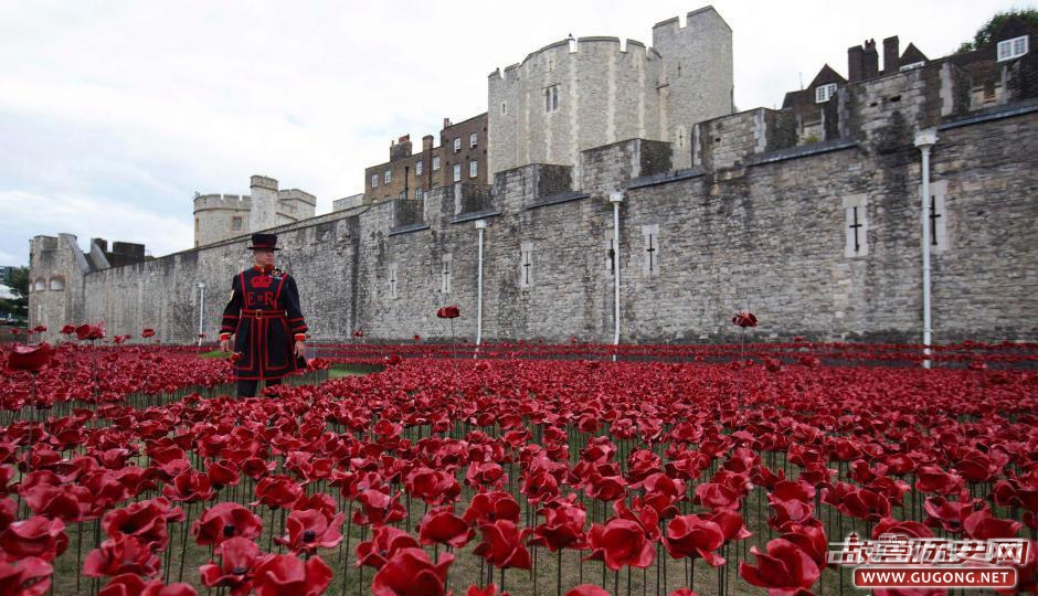 伦敦塔种80万陶瓷罂粟花纪念一战百年