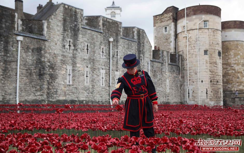 伦敦塔种80万陶瓷罂粟花纪念一战百年
