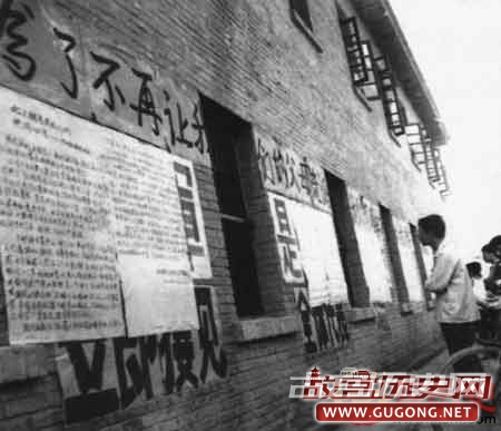 1978年云南五万知青罢工下跪的震撼镜头