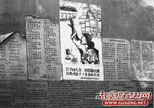 1978年云南五万知青罢工下跪的震撼镜头