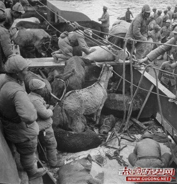 美国战地记者拍摄的淮海战役