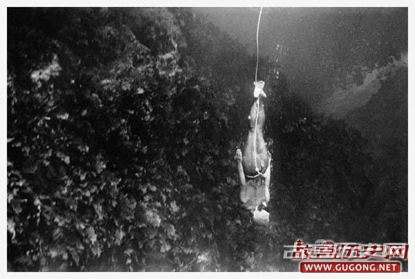 日本海女裸身潜水下海捕捞