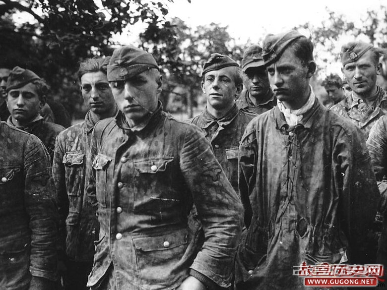 希特勒的爪牙：二战德国党卫军中的外国人