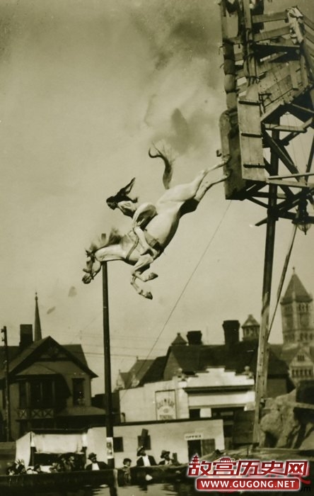 20世纪初玩命的高台跳水：40英尺的垂直暴跌