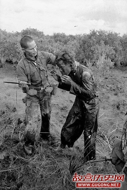 最新公布的越南战争震撼照