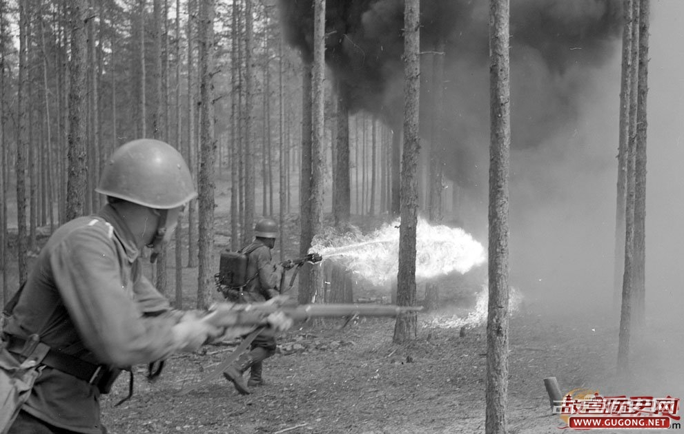 二战时期的芬兰状态：从前线到大后方全国备战