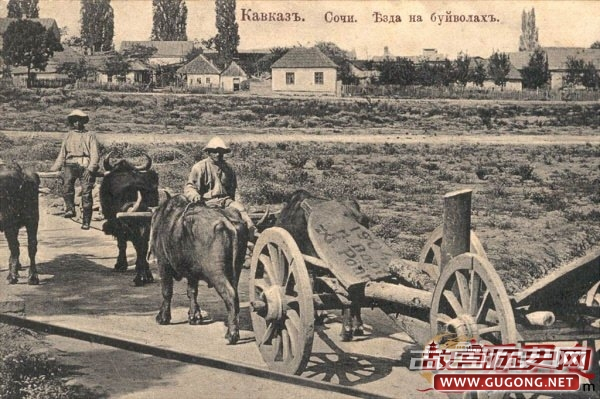 老照片中20世纪前半叶的俄罗斯索契