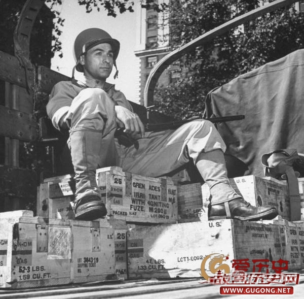 1943年底特律种族暴乱