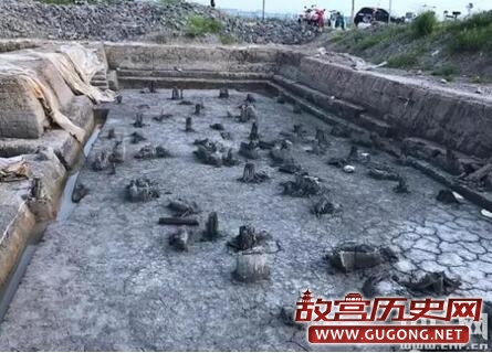 浙江宁波奉化发现距今5800年史前文化遗址