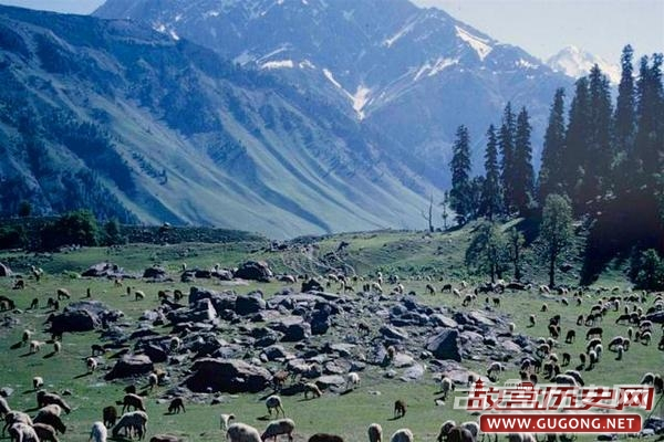 西藏老照片：世界上最雄伟的喜马拉雅山脉 1963年