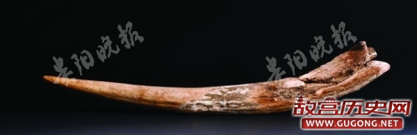 贵州贵安新区史前考古取得重大发现
