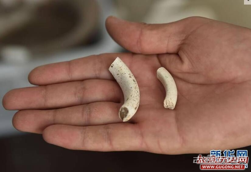 河南鹤壁再次考古发掘刘庄遗址