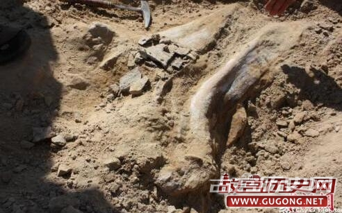 广西出土距今16000年完整人类头骨化石