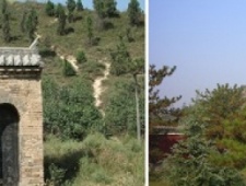 卫青：从奴隶到权倾朝野的大汉英雄