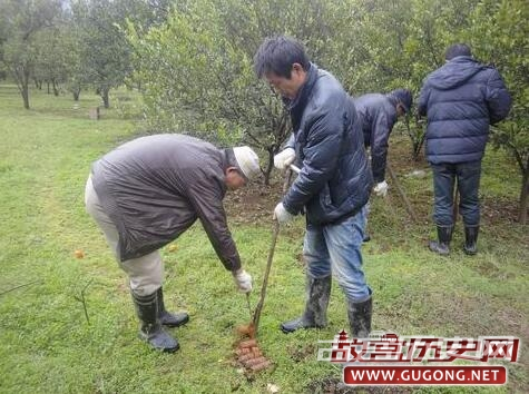 湖南保靖县四方城遗址与墓群进行调查勘探