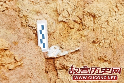 河南三门峡发现距今约100万年石制品
