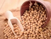 道教的撒豆成兵用的是什么豆?