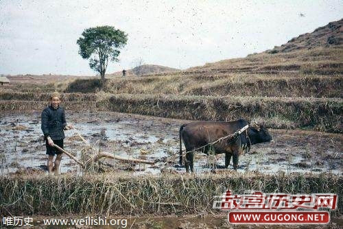 老照片：中国1946年的罕见彩照