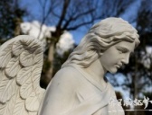 西方雕塑历史介绍