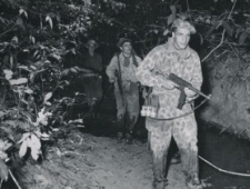 法越战争 法国东方扩张的第一步