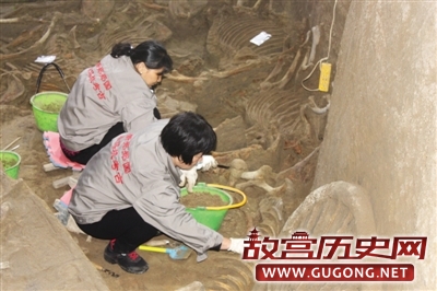 河南新郑郑国三号车马坑考古发掘收官　出土122具马骨和4辆马车